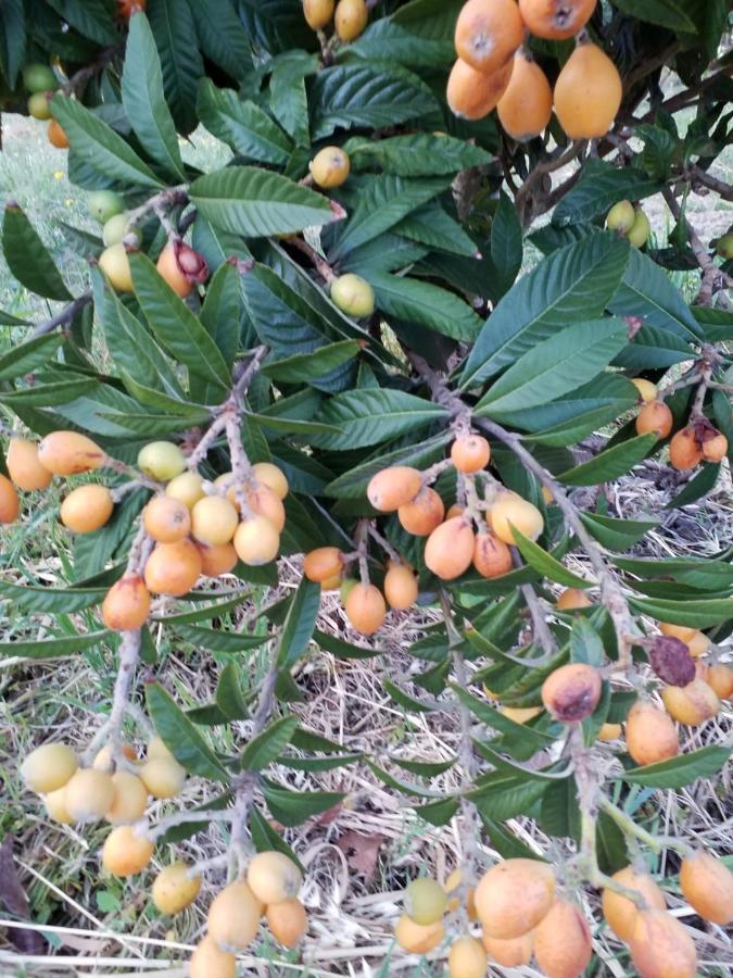 فندق Agrialma أغريجنتو المظهر الخارجي الصورة