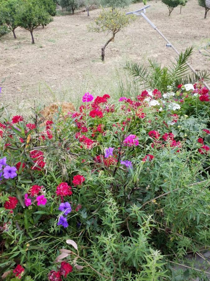 فندق Agrialma أغريجنتو المظهر الخارجي الصورة